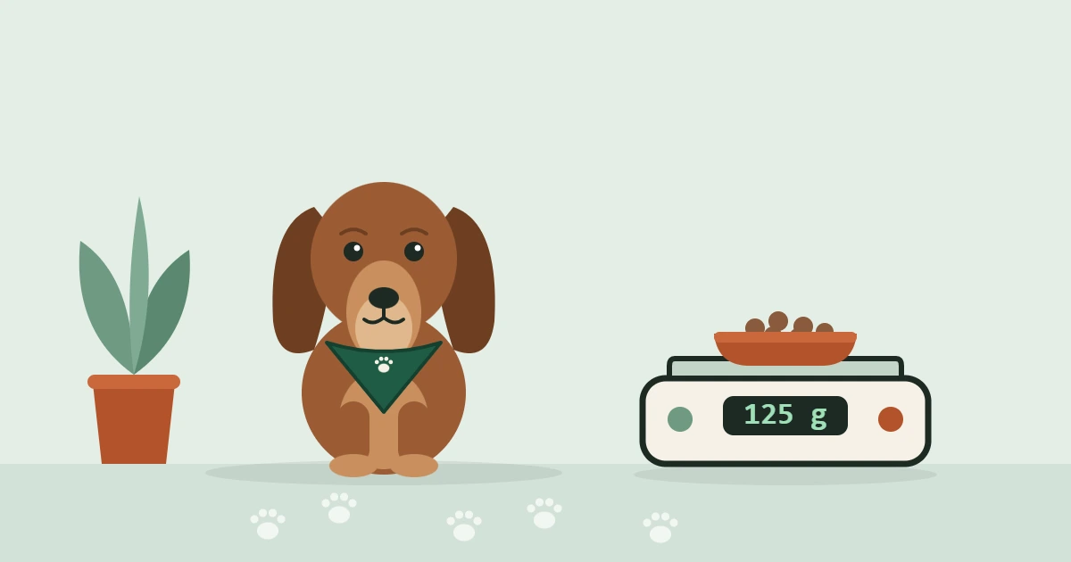 Illustrated Dachshund in a travel bandana sitting beside a kitchen scale holding a bowl of kibble