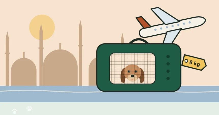 Illustration of a dog in a green soft carrier with an 8 kg tag, a plane and the Istanbul skyline