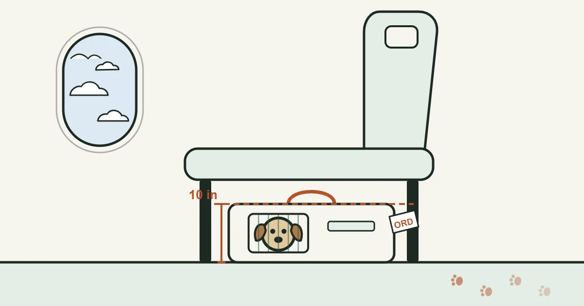 Illustration of a small dog in a soft pet carrier under an airplane seat
