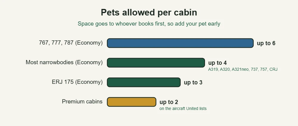 How many pets United allows per cabin, by aircraft